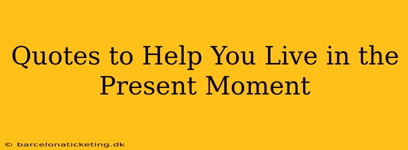 Quotes to Help You Live in the Present Moment