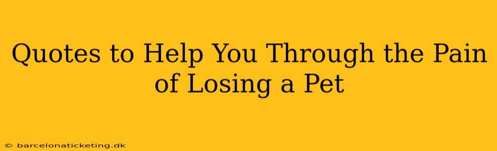 Quotes to Help You Through the Pain of Losing a Pet