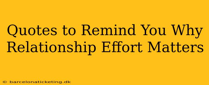 Quotes to Remind You Why Relationship Effort Matters
