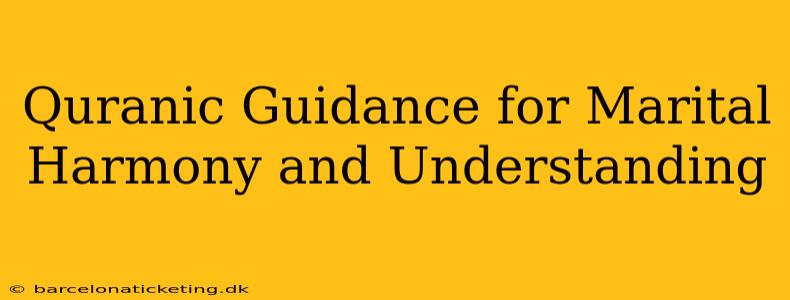 Quranic Guidance for Marital Harmony and Understanding