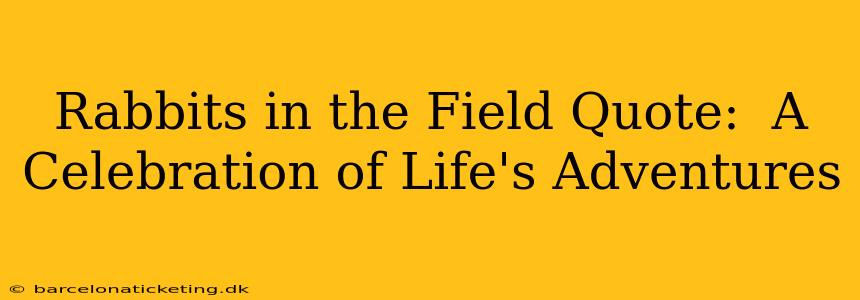 Rabbits in the Field Quote:  A Celebration of Life's Adventures