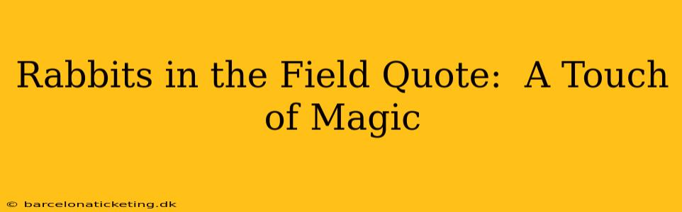 Rabbits in the Field Quote:  A Touch of Magic