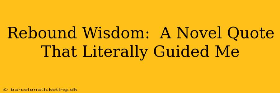 Rebound Wisdom:  A Novel Quote That Literally Guided Me