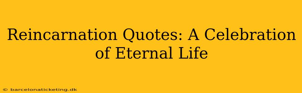 Reincarnation Quotes: A Celebration of Eternal Life