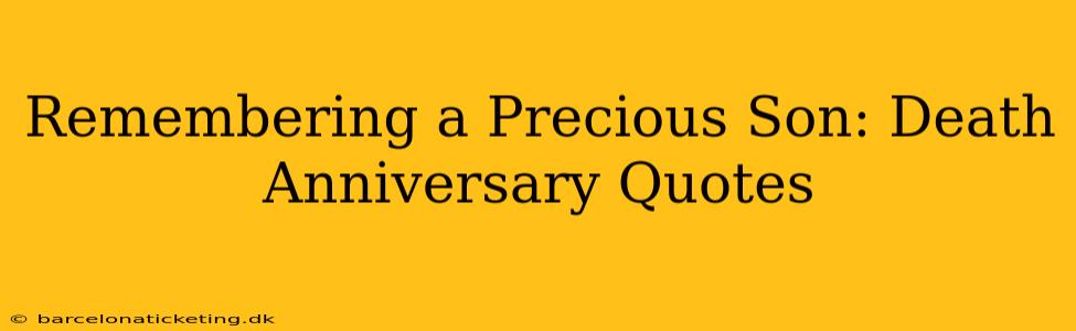 Remembering a Precious Son: Death Anniversary Quotes