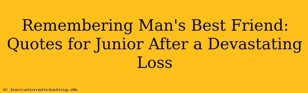 Remembering Man's Best Friend: Quotes for Junior After a Devastating Loss