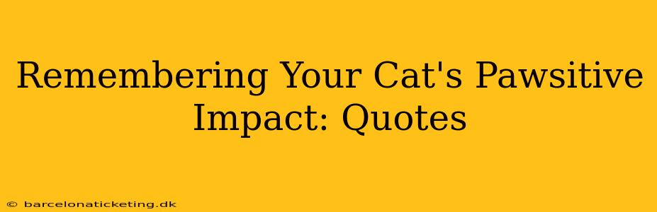 Remembering Your Cat's Pawsitive Impact: Quotes