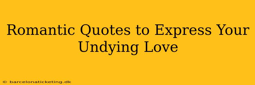Romantic Quotes to Express Your Undying Love
