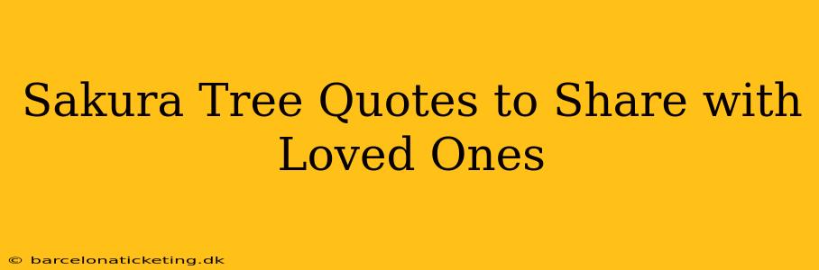 Sakura Tree Quotes to Share with Loved Ones