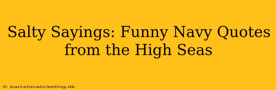 Salty Sayings: Funny Navy Quotes from the High Seas