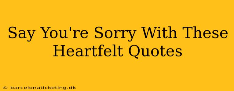 Say You're Sorry With These Heartfelt Quotes