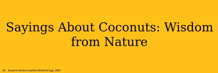 Sayings About Coconuts: Wisdom from Nature