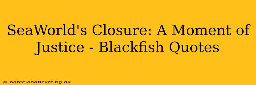 SeaWorld's Closure: A Moment of Justice - Blackfish Quotes