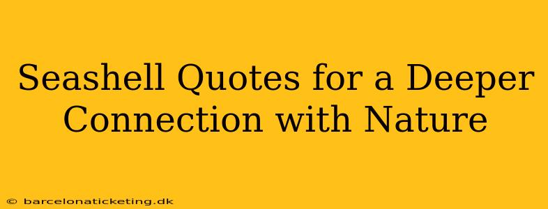 Seashell Quotes for a Deeper Connection with Nature
