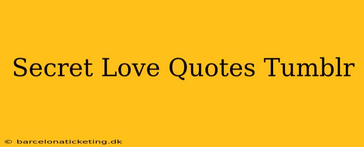 Secret Love Quotes Tumblr