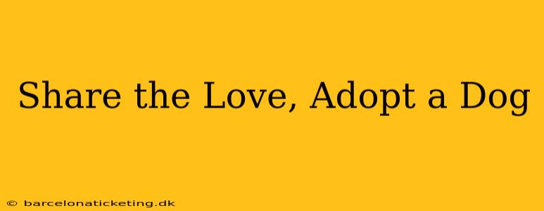 Share the Love, Adopt a Dog