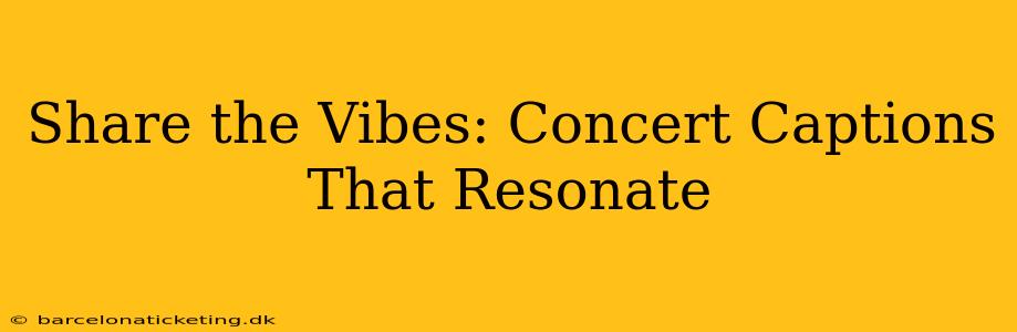 Share the Vibes: Concert Captions That Resonate