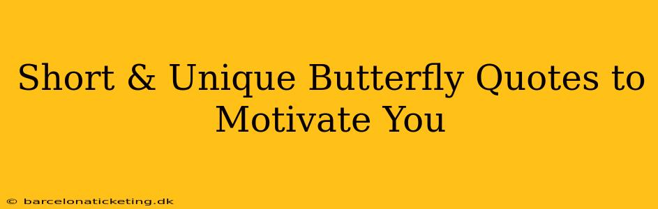 Short & Unique Butterfly Quotes to Motivate You