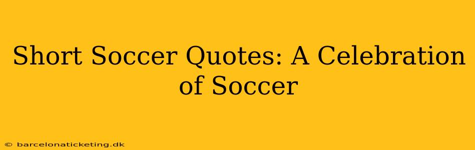 Short Soccer Quotes: A Celebration of Soccer
