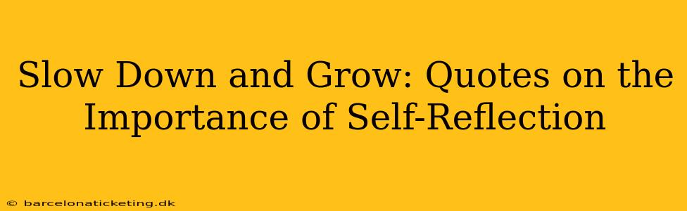 Slow Down and Grow: Quotes on the Importance of Self-Reflection