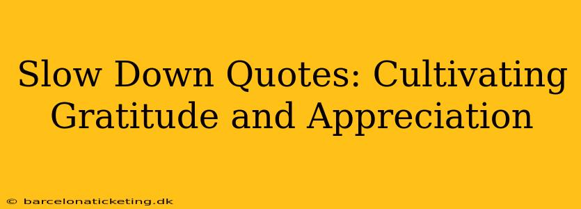 Slow Down Quotes: Cultivating Gratitude and Appreciation