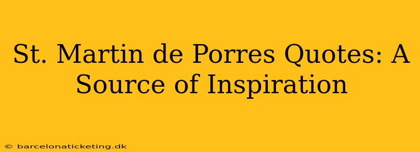 St. Martin de Porres Quotes: A Source of Inspiration
