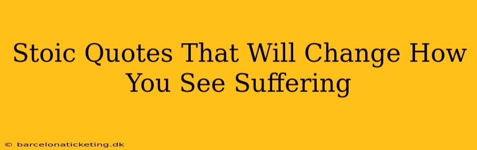 Stoic Quotes That Will Change How You See Suffering