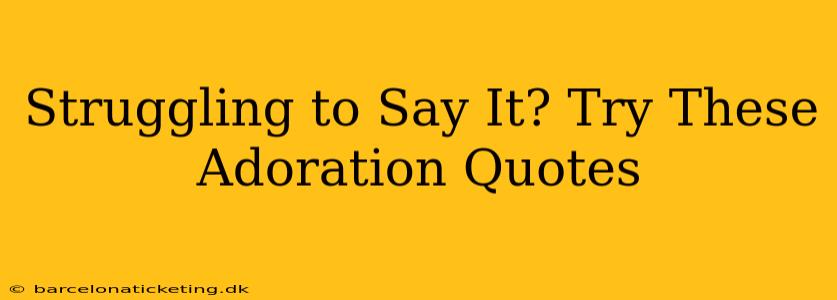 Struggling to Say It? Try These Adoration Quotes