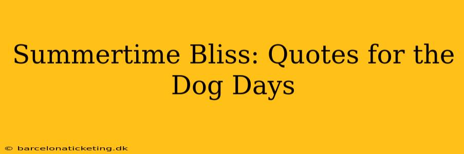 Summertime Bliss: Quotes for the Dog Days
