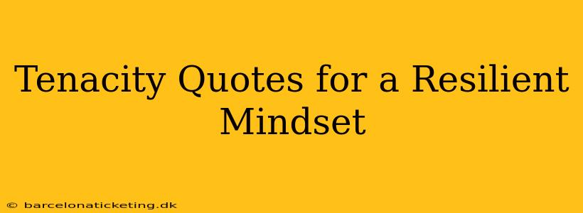 Tenacity Quotes for a Resilient Mindset