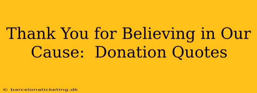 Thank You for Believing in Our Cause:  Donation Quotes