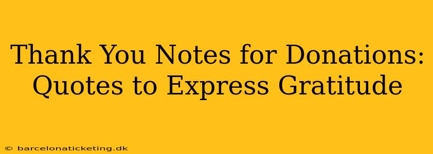 Thank You Notes for Donations:  Quotes to Express Gratitude