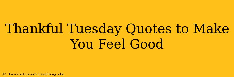 Thankful Tuesday Quotes to Make You Feel Good