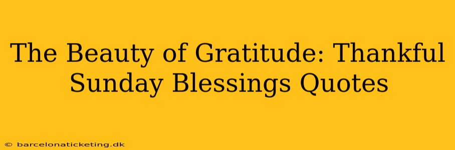 The Beauty of Gratitude: Thankful Sunday Blessings Quotes