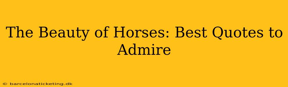 The Beauty of Horses: Best Quotes to Admire