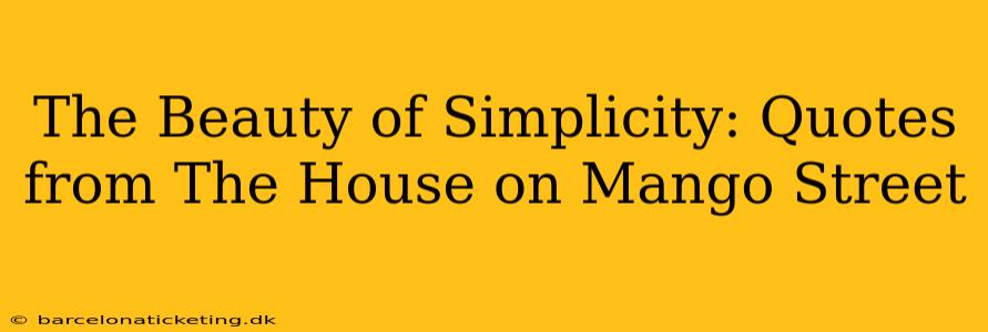 The Beauty of Simplicity: Quotes from The House on Mango Street