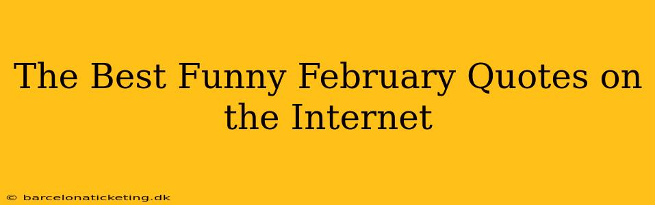 The Best Funny February Quotes on the Internet