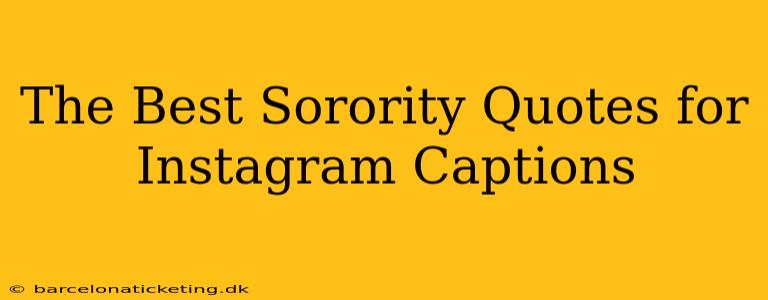 The Best Sorority Quotes for Instagram Captions