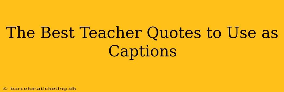 The Best Teacher Quotes to Use as Captions