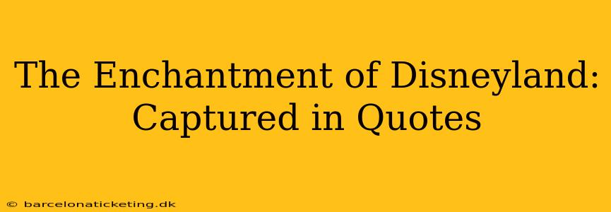 The Enchantment of Disneyland: Captured in Quotes