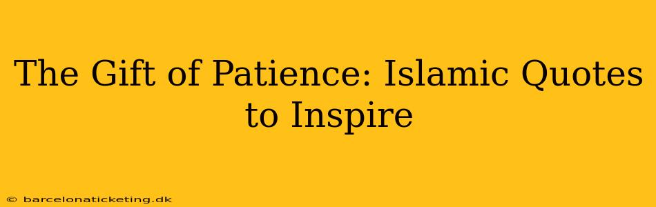 The Gift of Patience: Islamic Quotes to Inspire