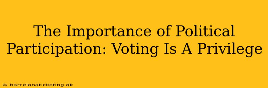 The Importance of Political Participation: Voting Is A Privilege
