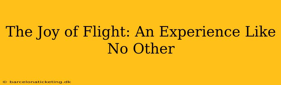 The Joy of Flight: An Experience Like No Other