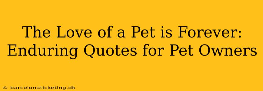 The Love of a Pet is Forever: Enduring Quotes for Pet Owners