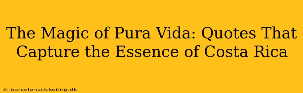 The Magic of Pura Vida: Quotes That Capture the Essence of Costa Rica