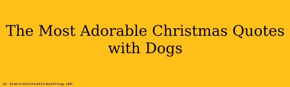 The Most Adorable Christmas Quotes with Dogs