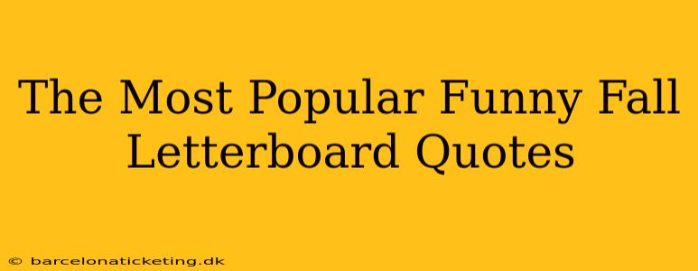 The Most Popular Funny Fall Letterboard Quotes
