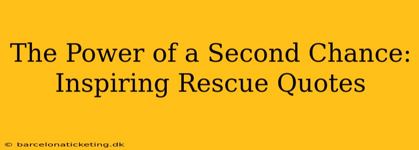 The Power of a Second Chance: Inspiring Rescue Quotes