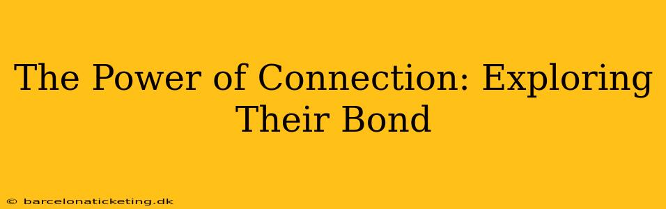The Power of Connection: Exploring Their Bond