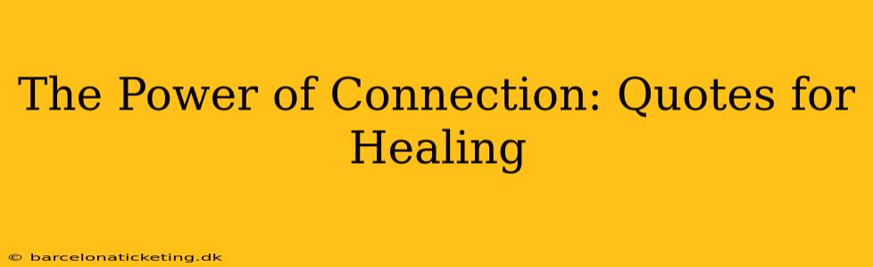 The Power of Connection: Quotes for Healing